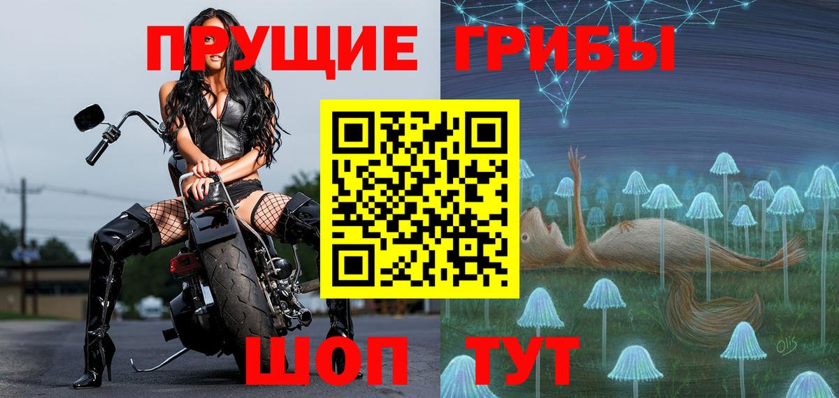 Псилоцибиновые грибы Psilocybine cubensis  Вход с VPN  Лесозаводск 